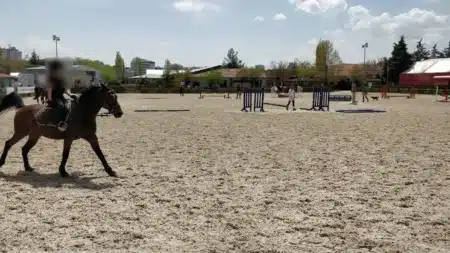 Ankara Binicilik Kulüpleri ve At Binme Yerleri (Güncel Liste) Kumlu açık manejde kask takmış bir binicinin sürdüğü doru at; arkada mavi ve renkli engel atlama mânialarıyla çalışan biniciler, ahırlar ve ağaçlar