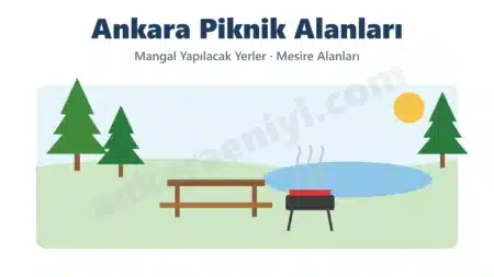 Ankara Piknik Alanları ve Mangal Yapılacak Yerler (Güncel Liste) Ankara Piknik Alanları yazısının kapak çizimi: göl kıyısında çam ağaçları, ahşap piknik masası, dumanı tüten mangal ve güneş