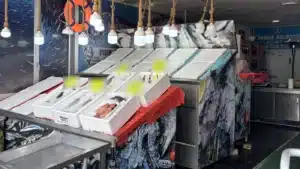 İncek Marina Balıkçısı’nın girişindeki tezgâh: köpük kutularda buz üstünde balık ve somon dilimleri, tavandan sarkan halat lambalar, duvarda can simidi ve Marina Balıkçısı tabelası